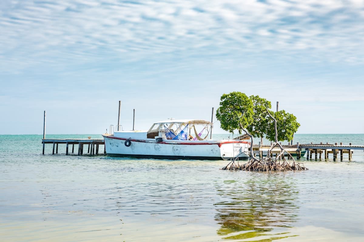 Top Things to Do in San Pedro Belize: Explore the Beauty of