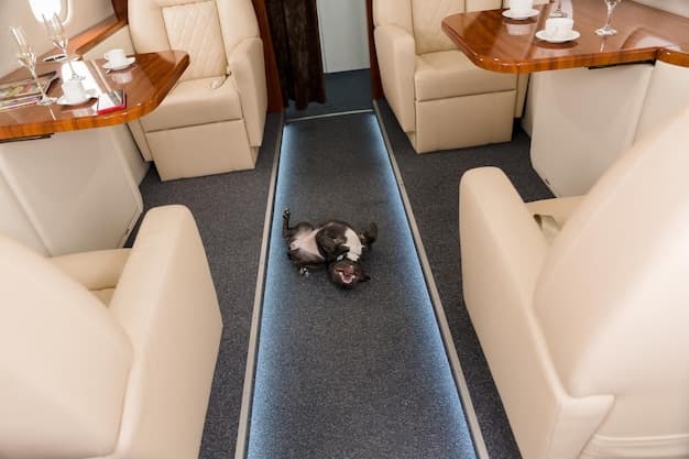 Seamless Luxury - Elevate Your Lifestyle with Effortless