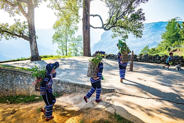 Pangilinan and Villanueva push to repeal the Philippines