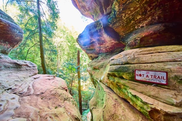 Similipal National Park in Odisha Temporarily Closed for