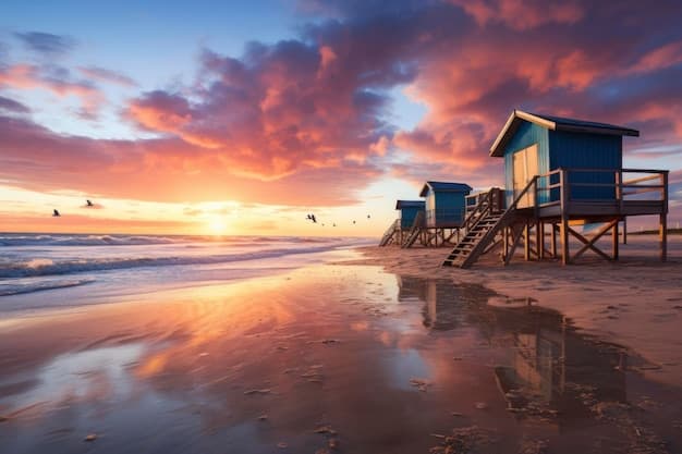 Discover Amazing Things to Do in South Beach