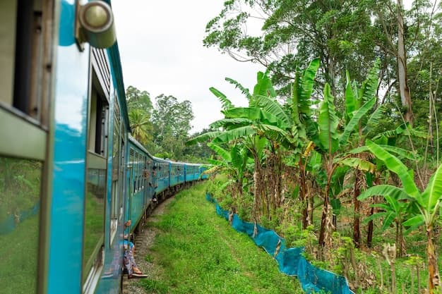 Sri Lanka Transport Guide - How to Get Around Sri Lanka