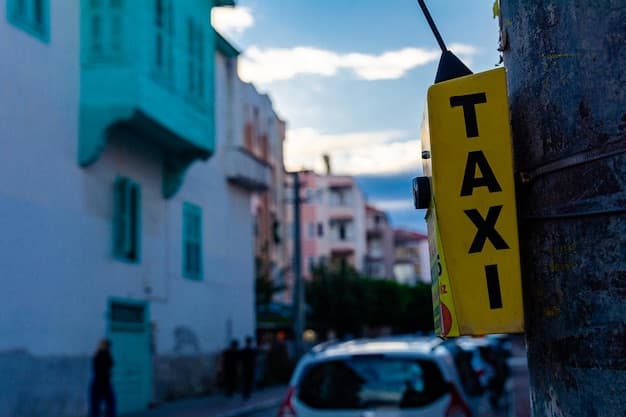 Taxi in Turkey - Turkish Society, Taxi فيdustry, and Urban Life