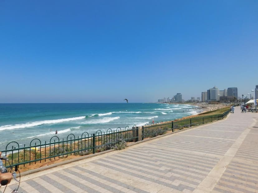 Taxi Tel Aviv - Safe, Fast & Reliable Airport Transfers