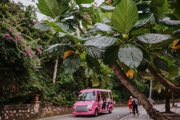 Taxis in Costa Rica - What You Need to Know for Safe Travel