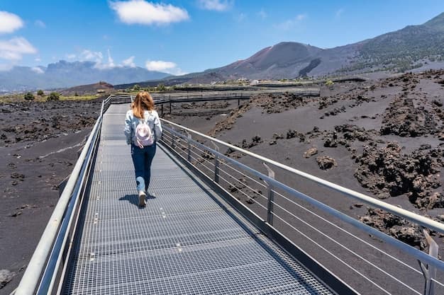Tenerife Nord Lufthavn Taxitransport - Fra og Til TFN