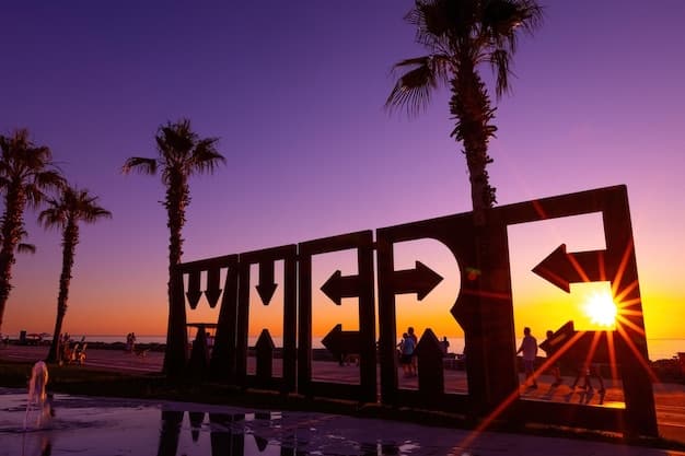 The Best of Los Angeles - Premier LAX Black Car Service for