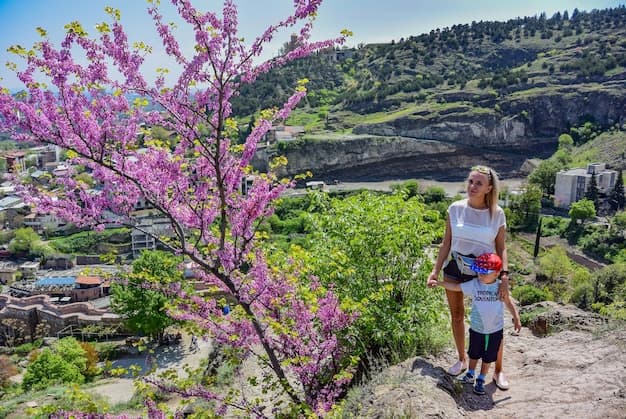 Things to Do in Helen Georgia: A Complete Guide