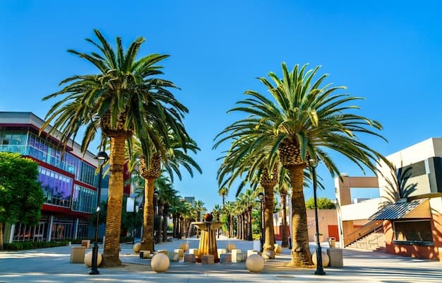 Top 5 Ways to Travel from West Palm Beach, FL to Fort