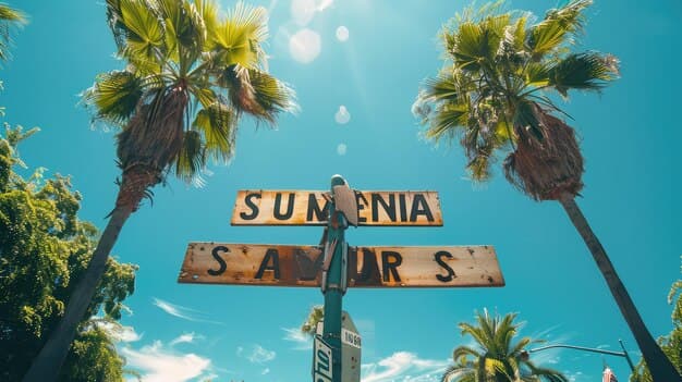 Top 5 Ways to Travel from West Palm Beach, FL to Tampa, FL - Routes, Times & Tips