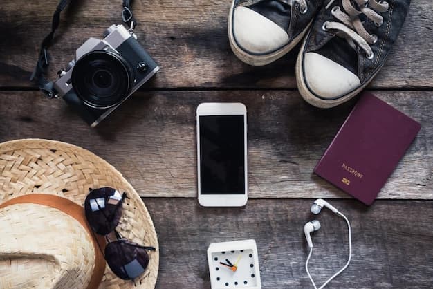 Essential Travel Gadgets for Frequent Flyers to Make Your