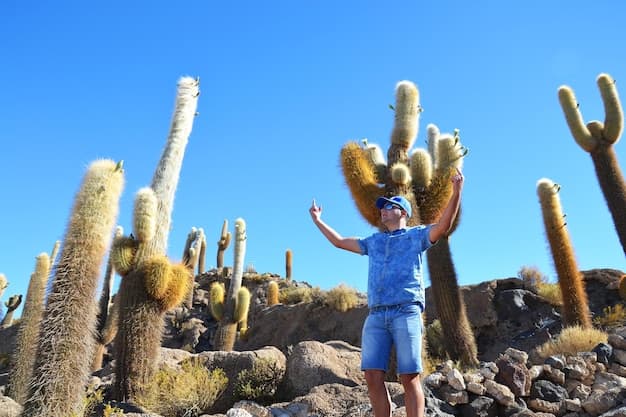 Exciting Things to Do in Tucson