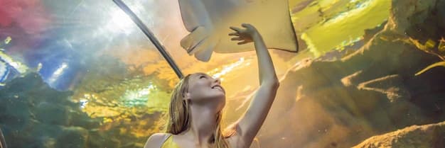 Experience the Magic of Vivid Sydney 2025: A Winter