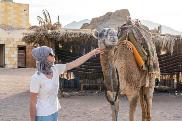 Discover Wakan Village in Oman: A Hidden Jewel for Nature