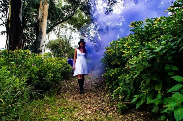 Enchanting Wayanad: 5 Must-See Tourist Attractions