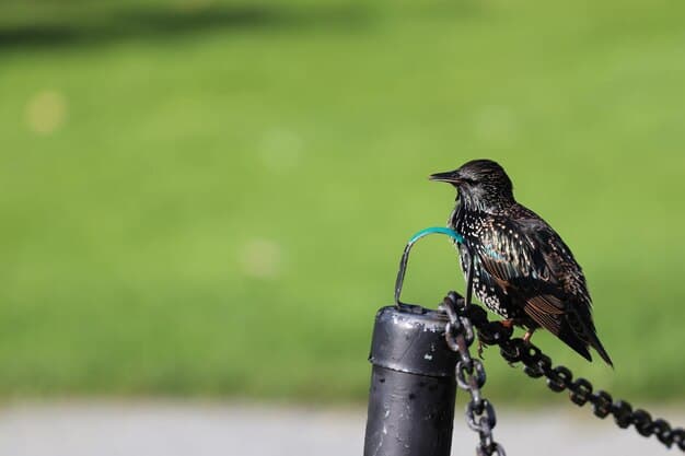 What Blackbird Is Doing to Ensure the Safety of Its
