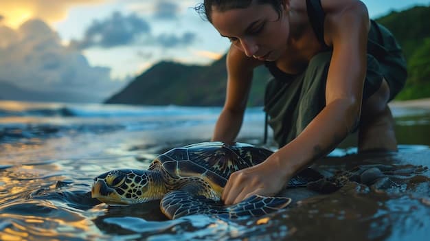 Embrace Ocean Conservation with Silolona Sojourns on World