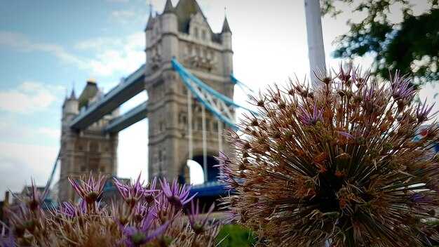 Smart add-ons for a smoother day