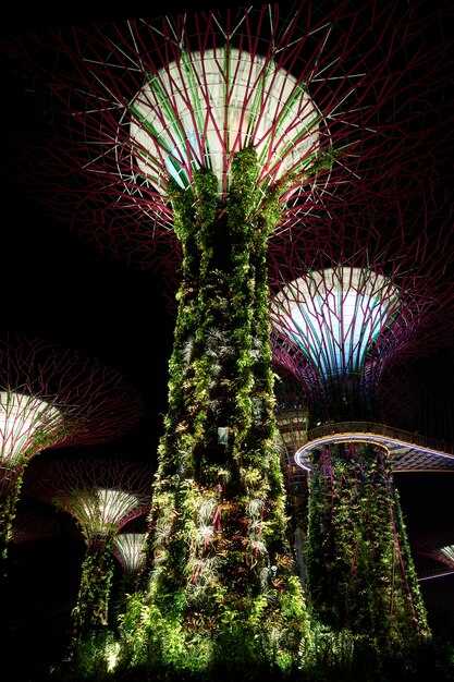 10 Hidden Treasures of Singapore – Secret Gems and Offbeat Spots