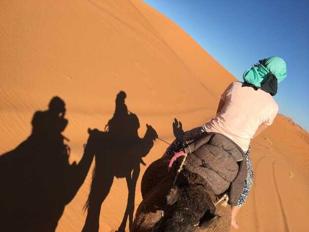 Intercity Transport Between Cities: Timetables, Options, and Tips