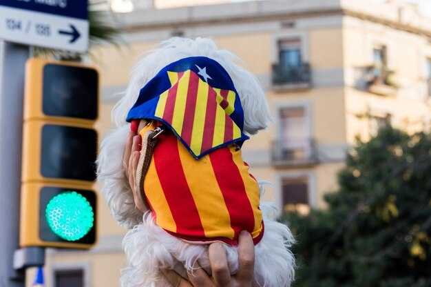 Barcelona Card – How It Works, Prices, and the Best Discounts for Your Barcelona Visit