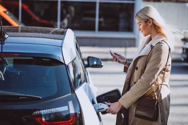 Driver Screening, Vehicle Standards, and Compliance Checks in the Twin Cities