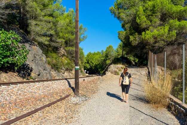 Best Free and Paid Walking Tours in Athens by Walkative Guides