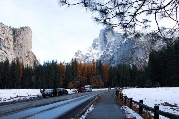 Pricing, payment options, and discounts for group travel