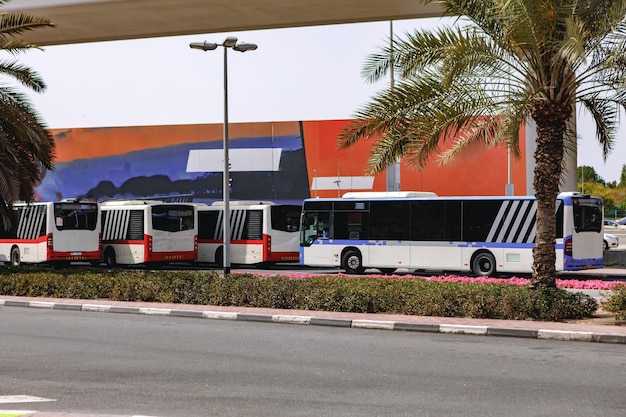 Where to board at Ibiza Airport: pickup points, terminals, and bus stop signs