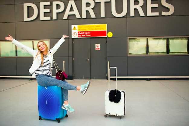 Security and Luggage Handling
