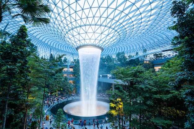 Discover the Green Side of Singapore – Eco-Friendly Attractions and Urban Nature