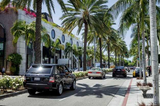 Fort Lauderdale to Tampa Taxi – Affordable Private Transfers