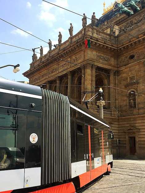 Alilaguna water services: routes to St. Mark's Square, Rialto, and nearby islands