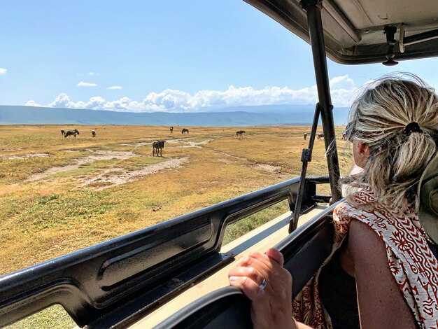 Getting Around Victoria Falls Zimbabwe – Transport, Maps & Tips