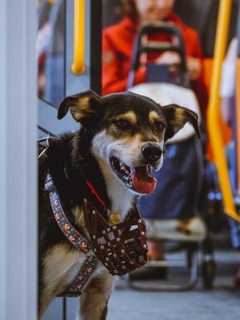 Flight Schedule and Departure Details