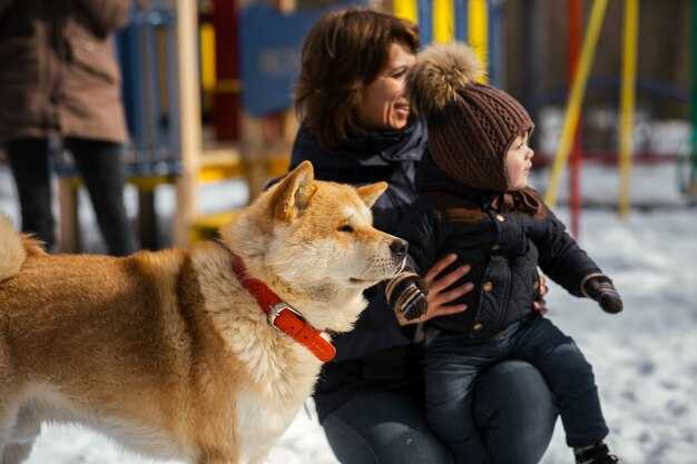 Lebanon’s Sixth Repatriation Flight for Brazilians and Families Departs with 212 Passengers and One Pet