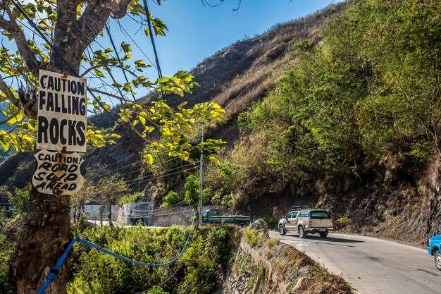 Laguna Manialtepec Bioluminescence Tour: Booking, Timings, and What to Bring