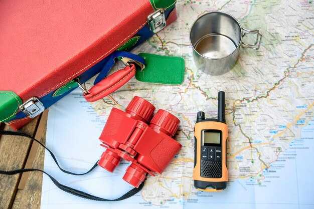 Airline 2: Baggage Fees, Size Limits, and Boarding Process