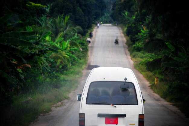 What to expect on the ride