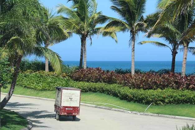 What to Expect During Arrival: Airport and Port Transfer Procedures