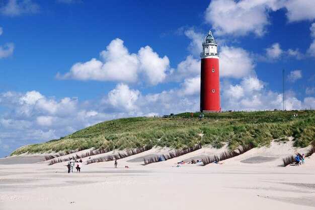 Spa, Fitness, and Wellness: Access, Schedules, and Class Options