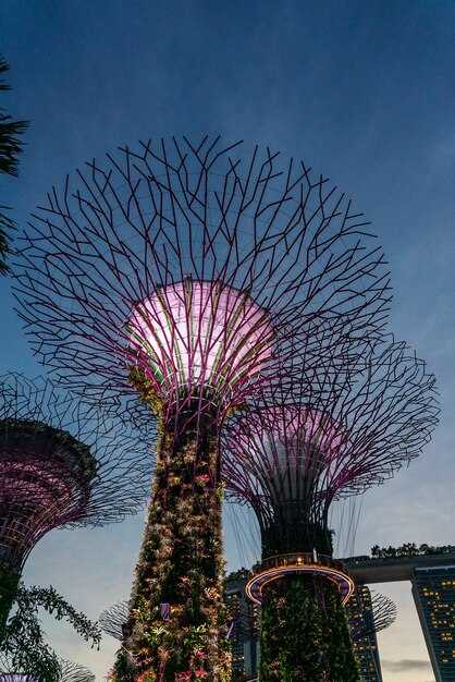 Best Time to Visit Singapore: Weather, Seasons, and Major Events