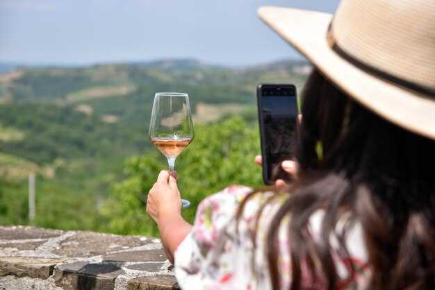 Sonoma Wine Tours from San Francisco – Best Day Trips to Sonoma Valley