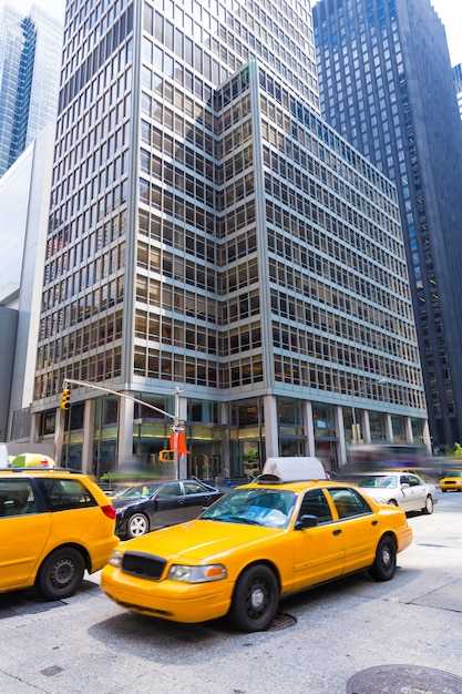 자격 기본 사항