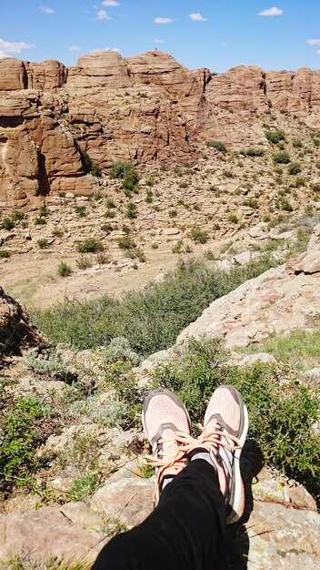 Which airport is closest to Joshua Tree National Park and how LAS compares with PSP and ONT