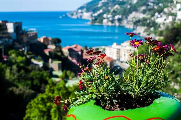 The Ultimate South of France Itinerary – Luxe Charm and Hidden Gems