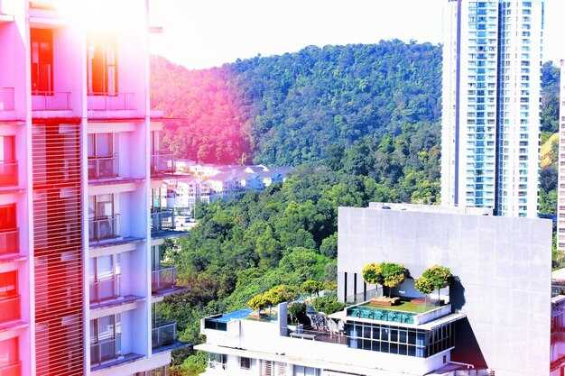 Identify hotels within walking distance to landmarks and offer free tours or shuttle options