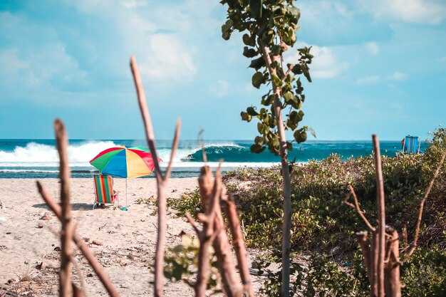 Top 30 Things to Do in Huatulco, Oaxaca, Mexico