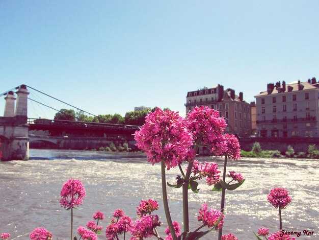 Toulouse – Welcome to the Pink City – A Practical Guide to Visiting France’s Colorful Capital