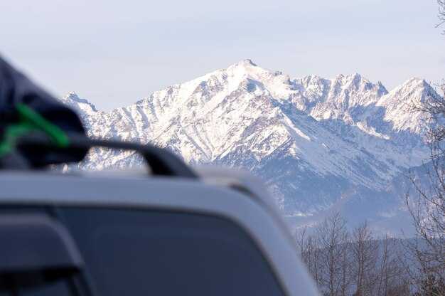 Operational steps for a secure pickup